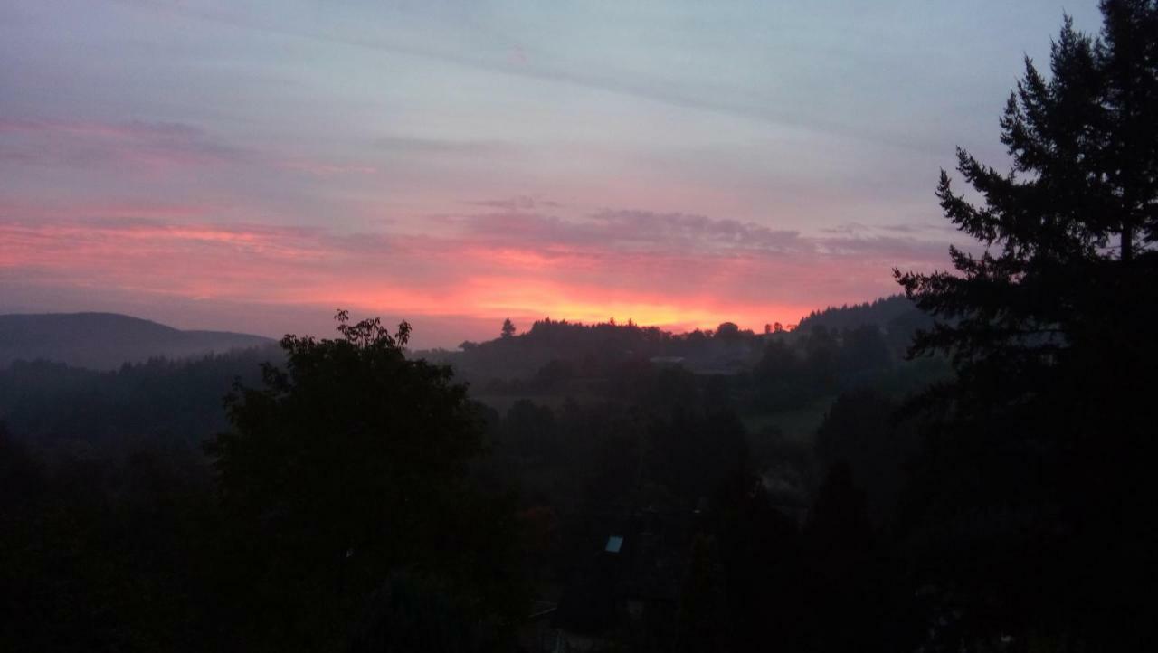 Hettenrodt Ferienwohnung Brillant Am Nationalpark Hunsrueck-Hochwald מראה חיצוני תמונה