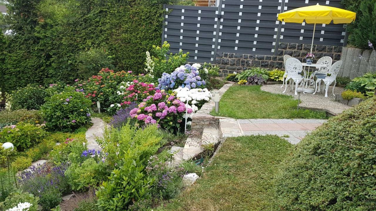 Hettenrodt Ferienwohnung Brillant Am Nationalpark Hunsrueck-Hochwald מראה חיצוני תמונה
